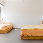 Ostello Hostel Idrija *
